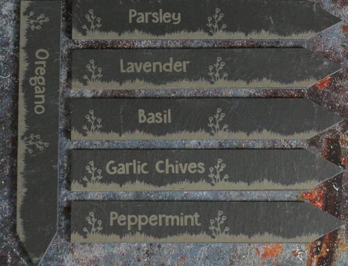 Slate Plant Markers