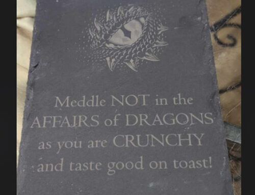Meddle Not In The Affairs Of Dragons!